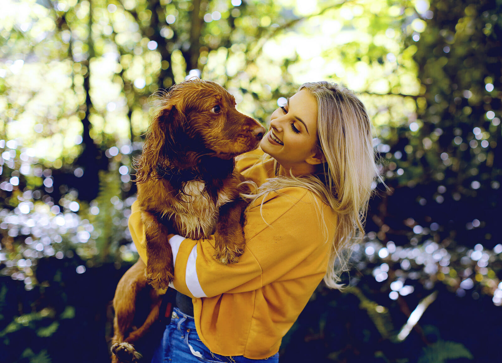 Pet photo shoot Northern Ireland Pet photo shoot Northern Ireland