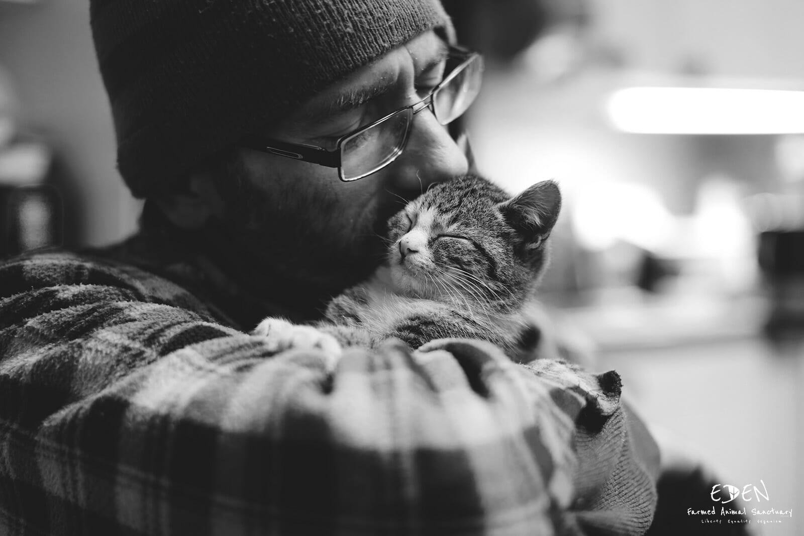 pet photography northern ireland pet photography northern ireland