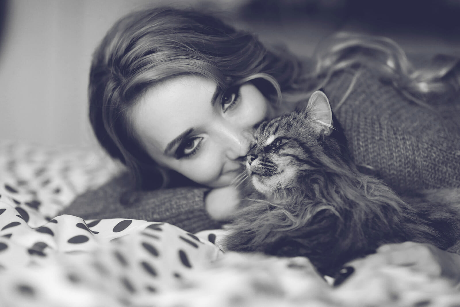 cat photography cat photography